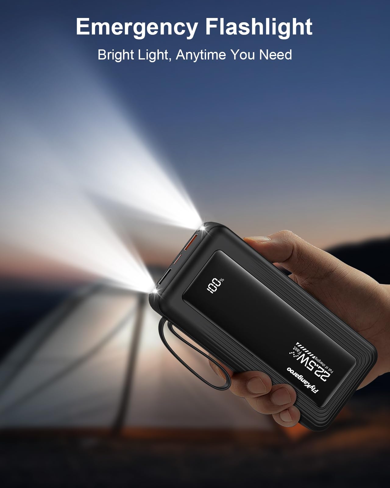 Power Bank 20000mAh con 4 Cavi Integrati, 22.5W Batteria USB C a Ricarica Rapida w/Torcia Elettrica, PowerBank per Cellulare Display LED per iPhone 17 16 Samsung Galaxy S24 Tablet Android