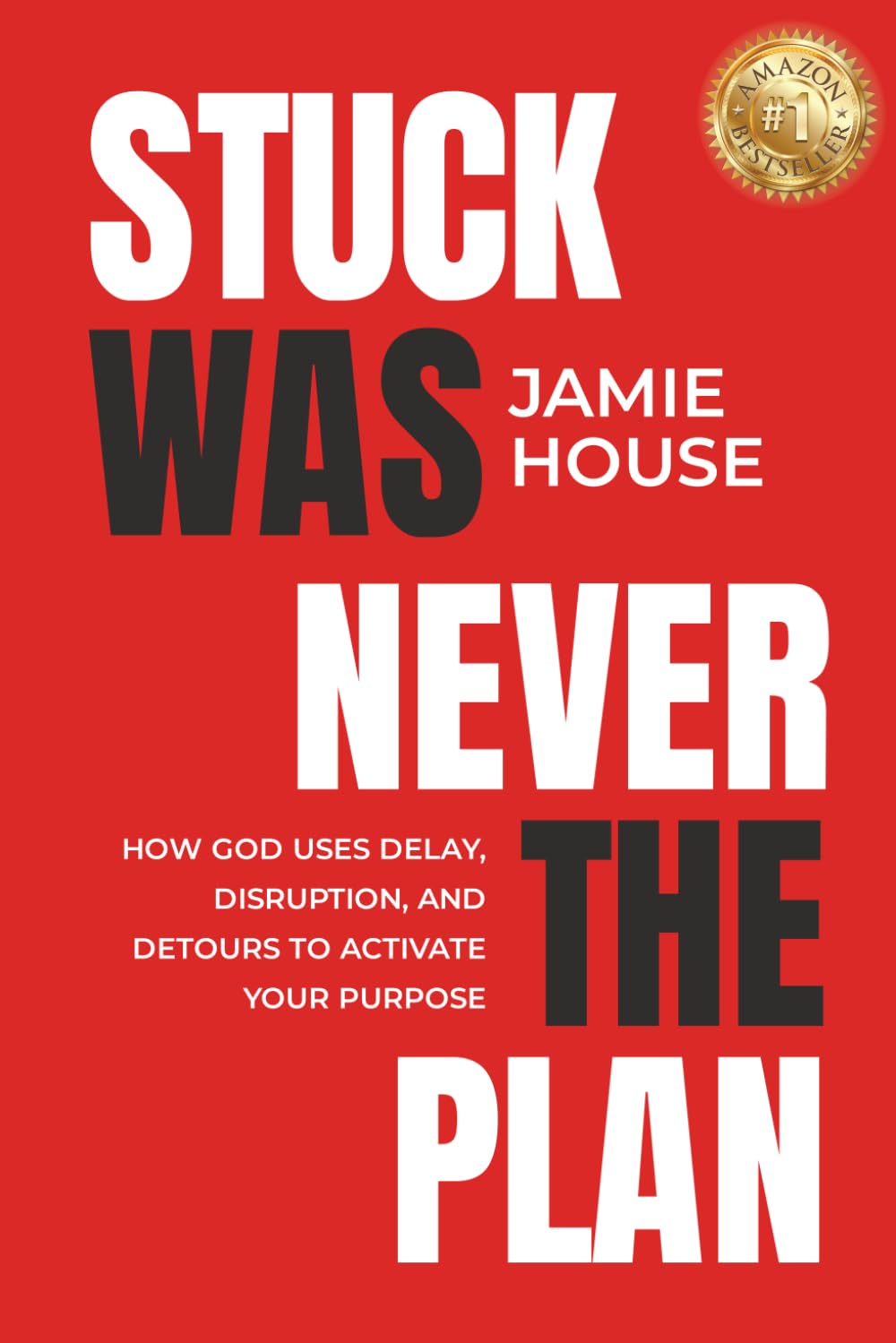 Stuck Was Never The Plan: How God Uses Delay, Disruption and Detours To Activate Our Purpose
