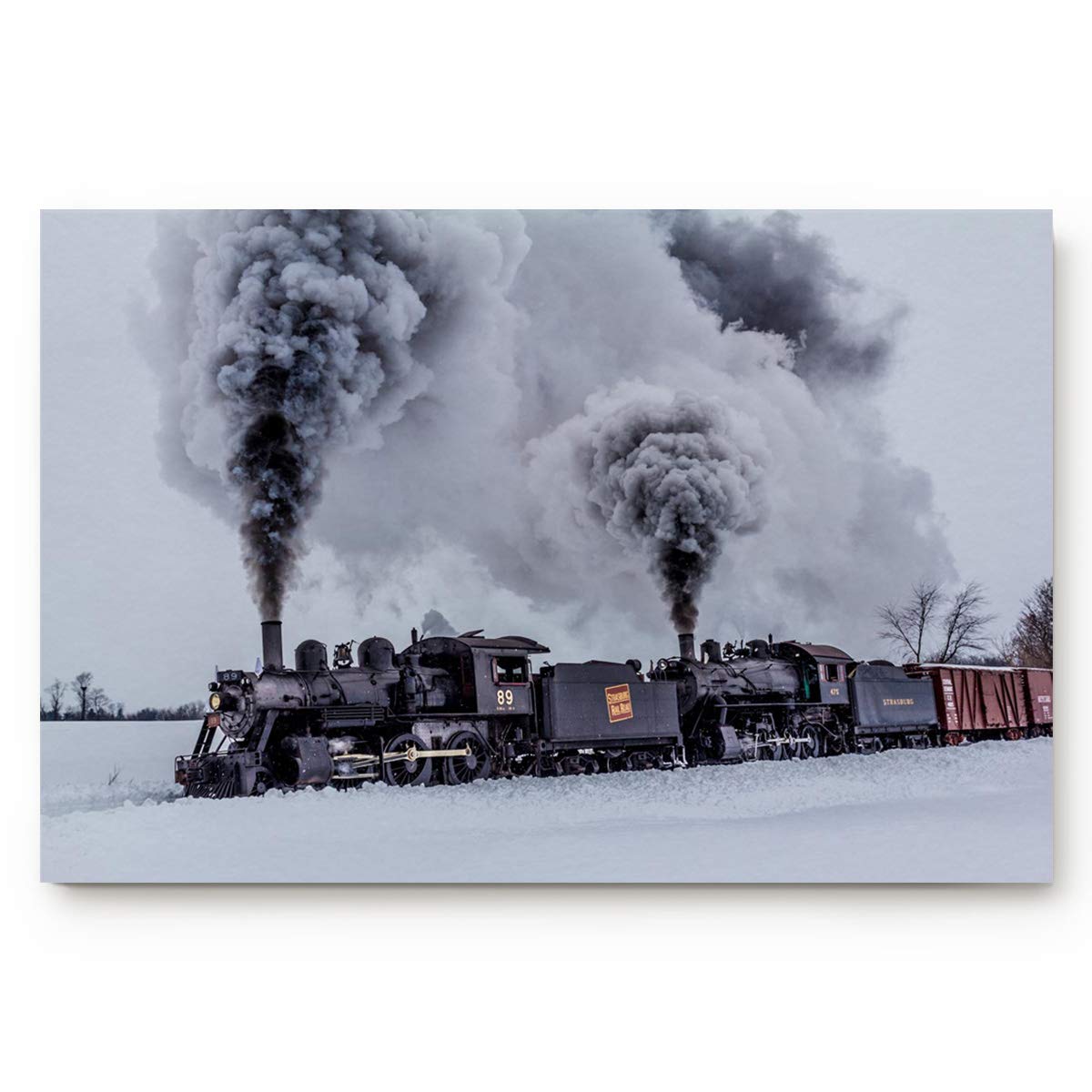 Door Mat Indoor/Outdoor Non Slip Entrance Front Doormat Area Rugs,Winter Train Braving Smoke on Black Railroad Tracks Waterproof Absorb Bathroom/Kitchen Floor Mat Carpet Shoes Scraper20 x32