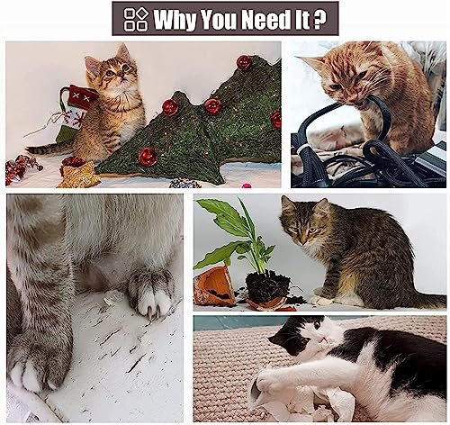 SAPBDCDDB(みほ) キャットホイール 猫 回し車 猫 ランニングホイール 室内猫用キャットホイールエクササイズ の商品画像 5