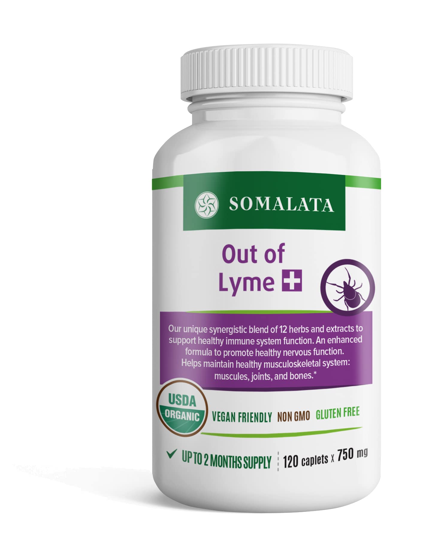 Plus Formula - Immune System Support - Herbal Supplement - Out of L