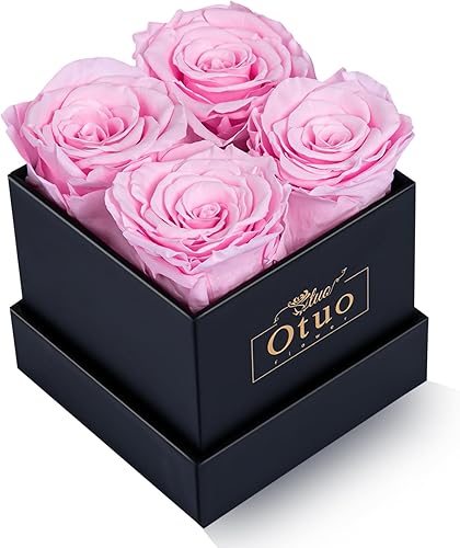Otuo Rosas preservadas en caja de regalo, regalo de rosas eternas reales para novia, mamá, mujer, esposa, aniversario de cumpleaños y boda (rosa)