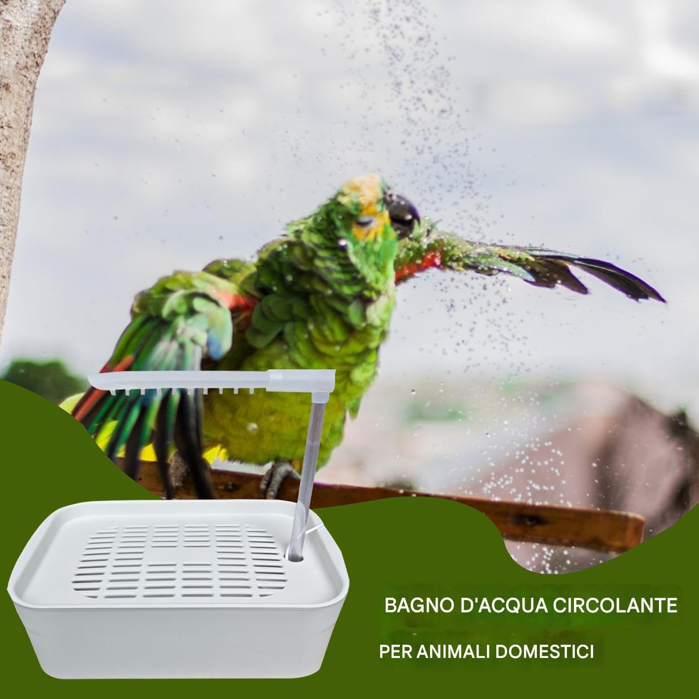 d'oiseau, Douche d'oiseau Automatique du Perroquet