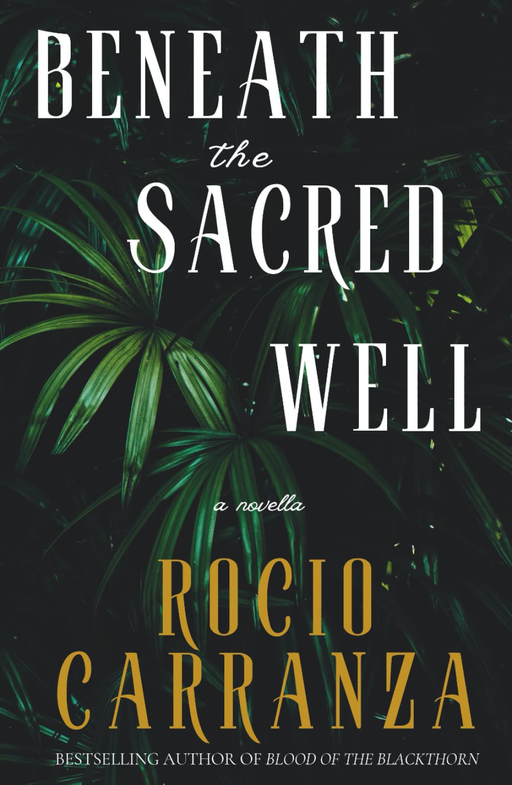 Beneath the Sacred Well