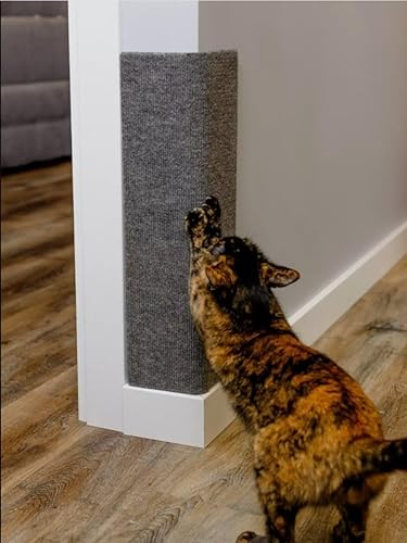 Tapete rascador para gatos, 24 x 14 pulgadas, tapete horizontal para rascar el suelo del gato con cintas adhesivas, protege el sofá y las alfombras