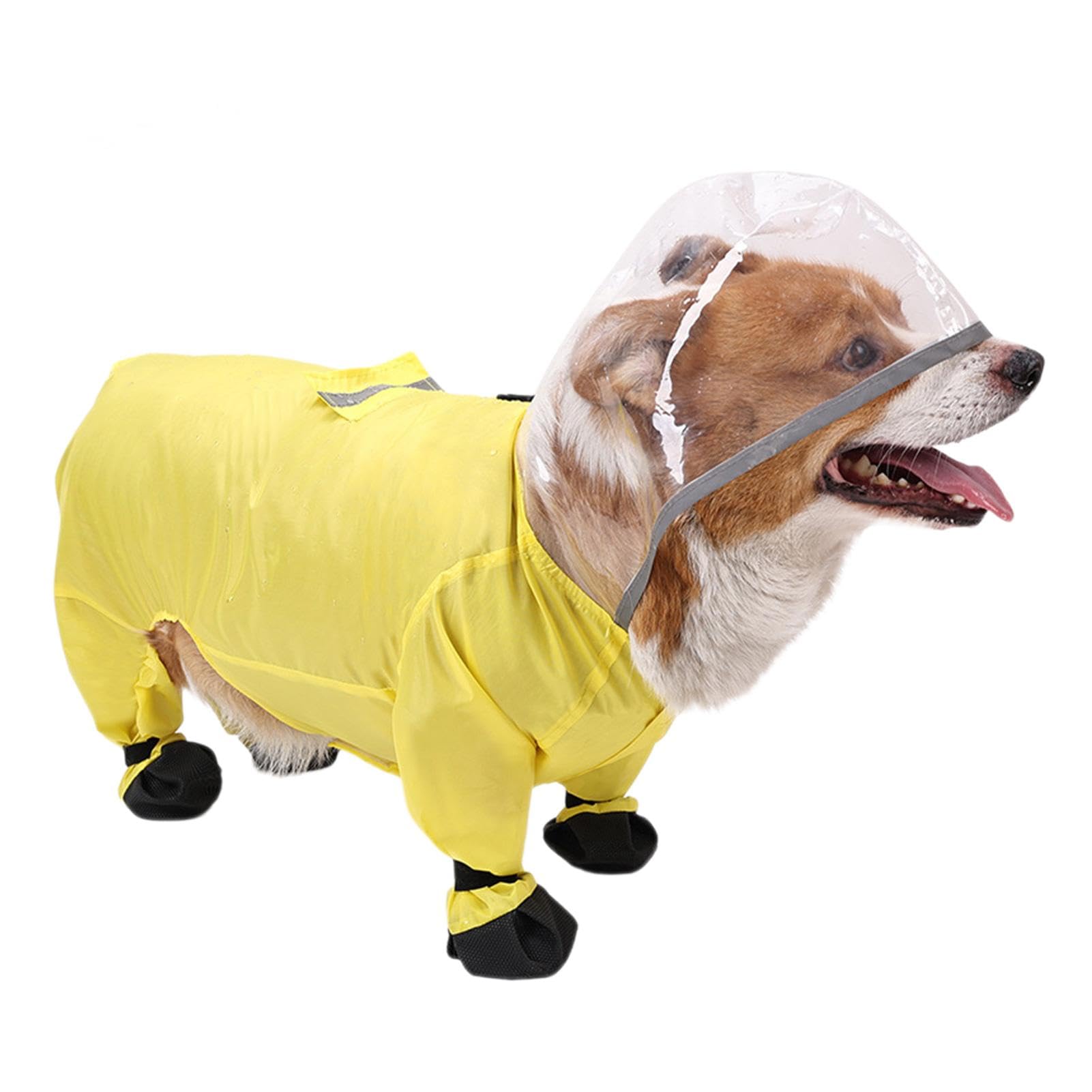 Ponchos de pluie imperméables pour chien : idéal pour balades sous l'averse
