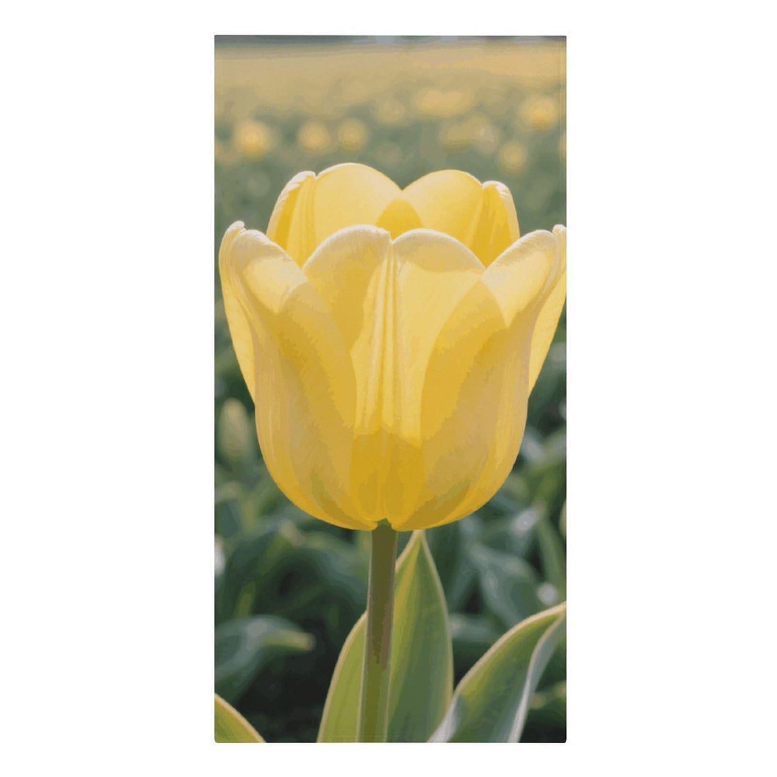 asbwuo Yellow Tulip Beach Towels Extra Large Quick Dry Absorbent