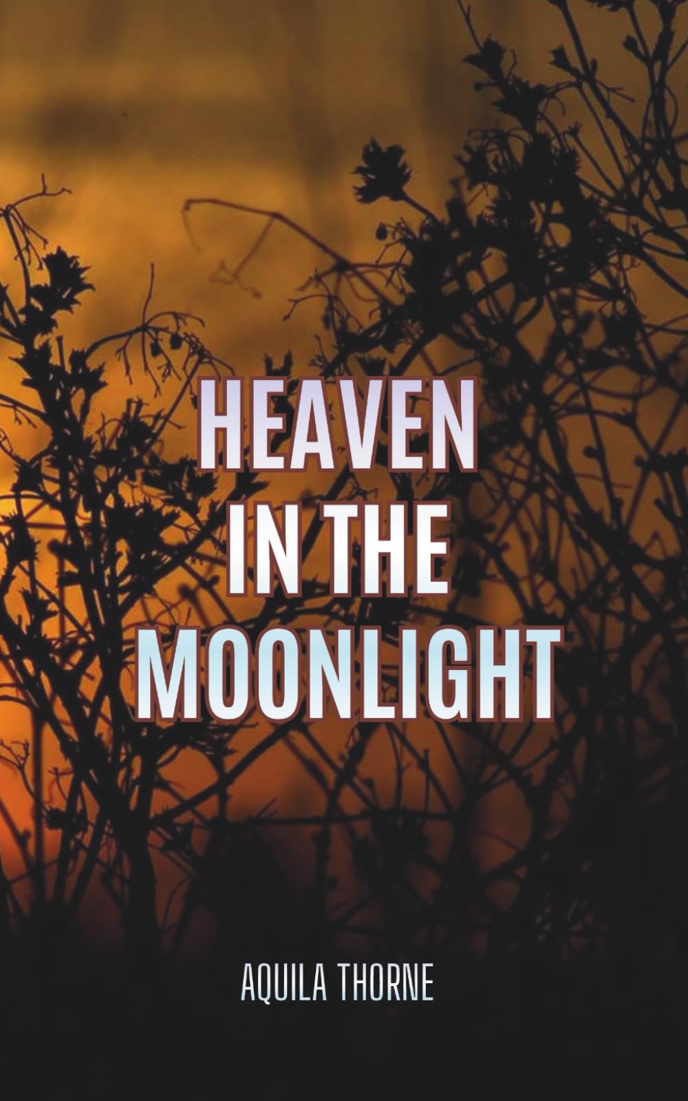 Heaven in the Moonlight (Pearl Lake the Series)