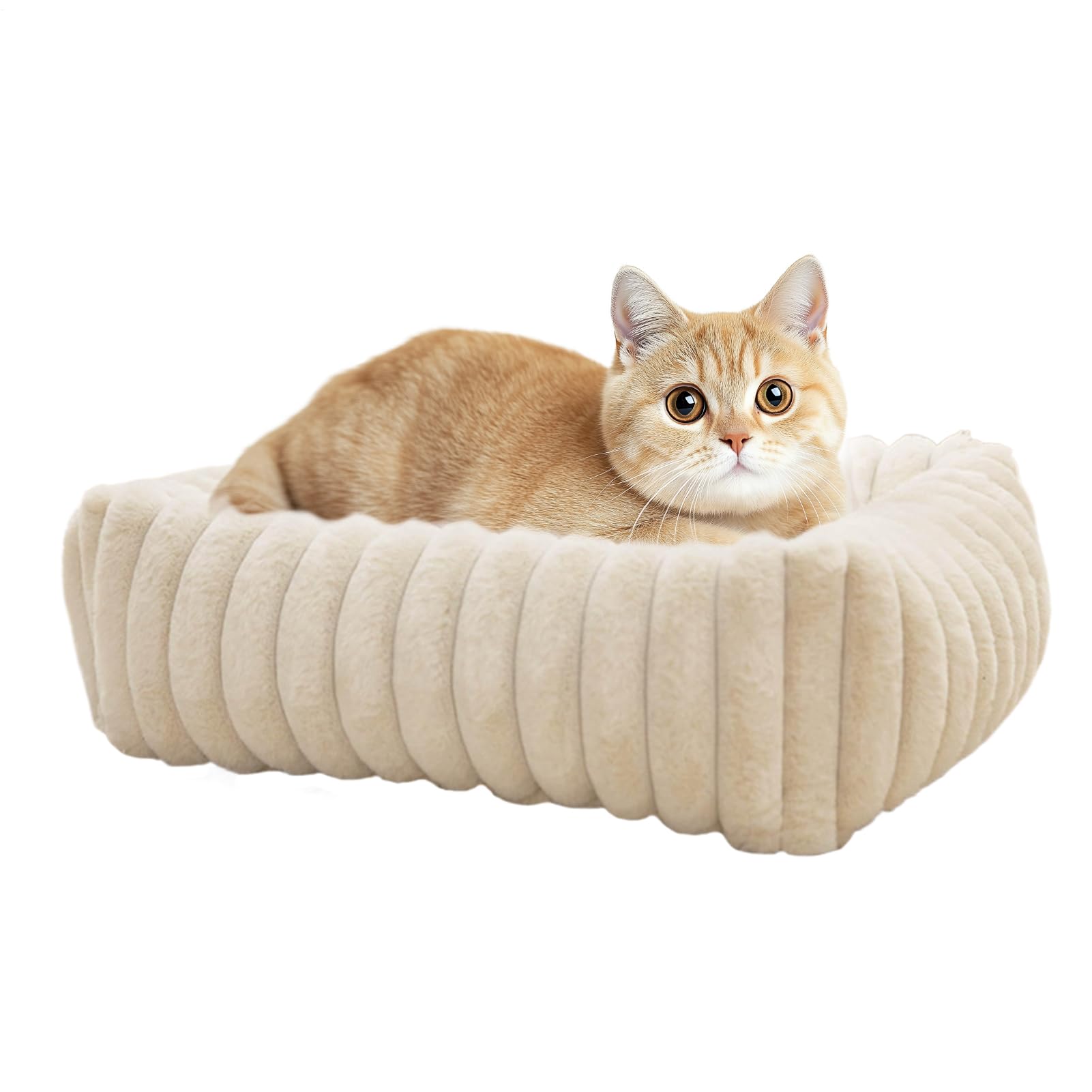 Sofá Cama para Gatos Sofá Mascota Cojín Mascota Colchoneta Cachorro | Cama Exterior Lavable Y Extraíble Para Gatos Casas Mascotas s Patio Hogar Apartamento Balcón Salón Dormitorio V