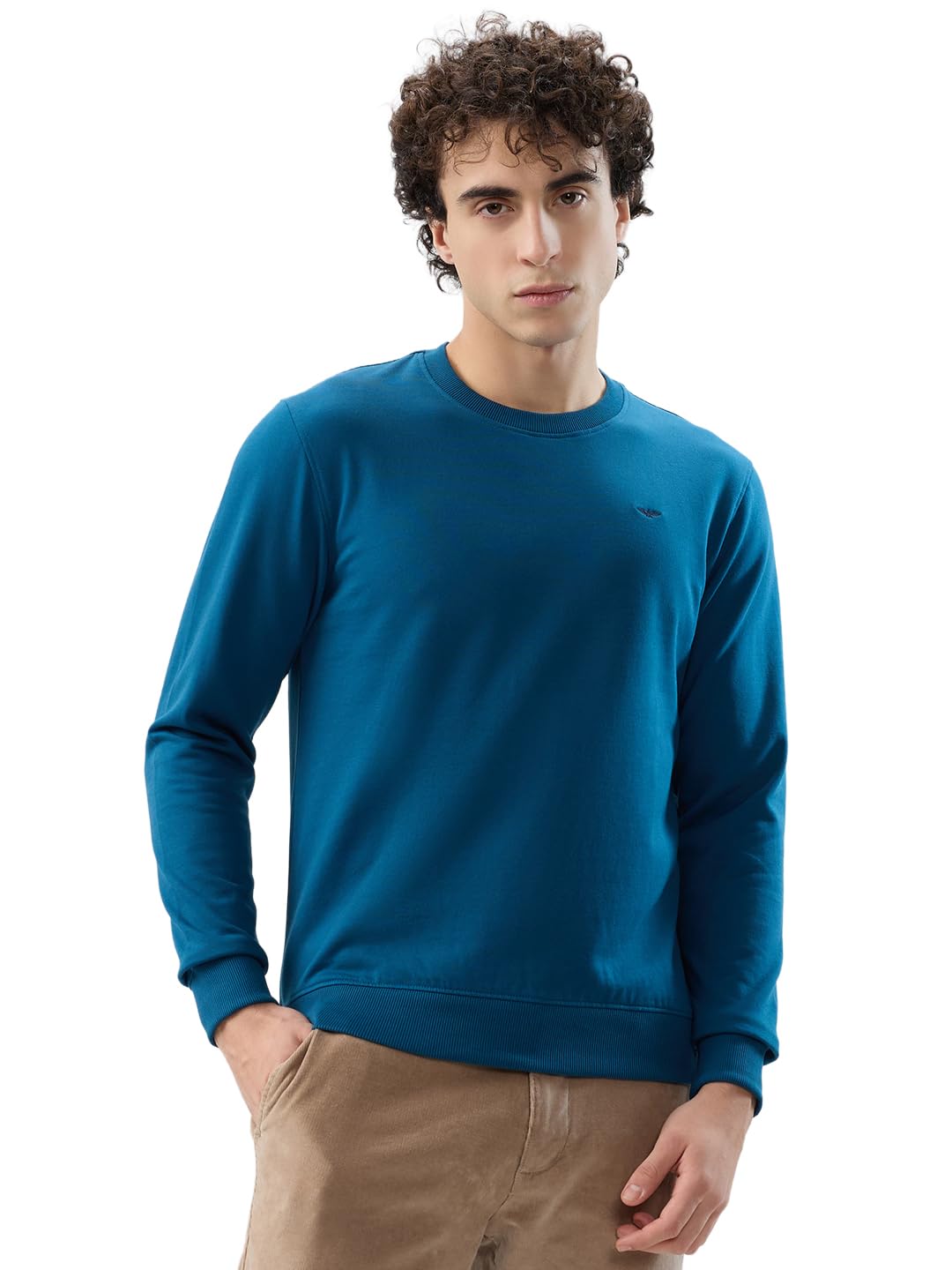 Park Avenue Men Slim Fit Solid Pattern Cotton Polyester Blend Round Neck Full Sleeve Casual Sweatshirt Green-picture-33