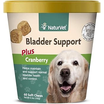 small dog bladder control