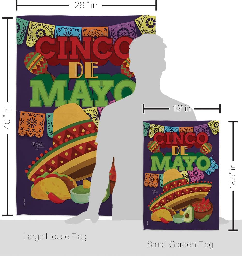 Breeze Decor Cinco de Mayo Garden House Summer Mexican Fiesta Party Cactus PinataOutdoor Summertime Sunny Decoration Banner Small Yard Gift Double-Sided, Thick Fabric, Large & Small Flags Set