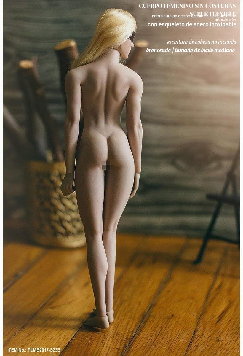 3T6B - Muñeca de eslabones de Cuerpo Femenino de 1/6 Pulgadas, 28 cm, Piel Blanca, Pecho más Alto, Muy Flexible, Cuerpo sin Costuras (S23B)