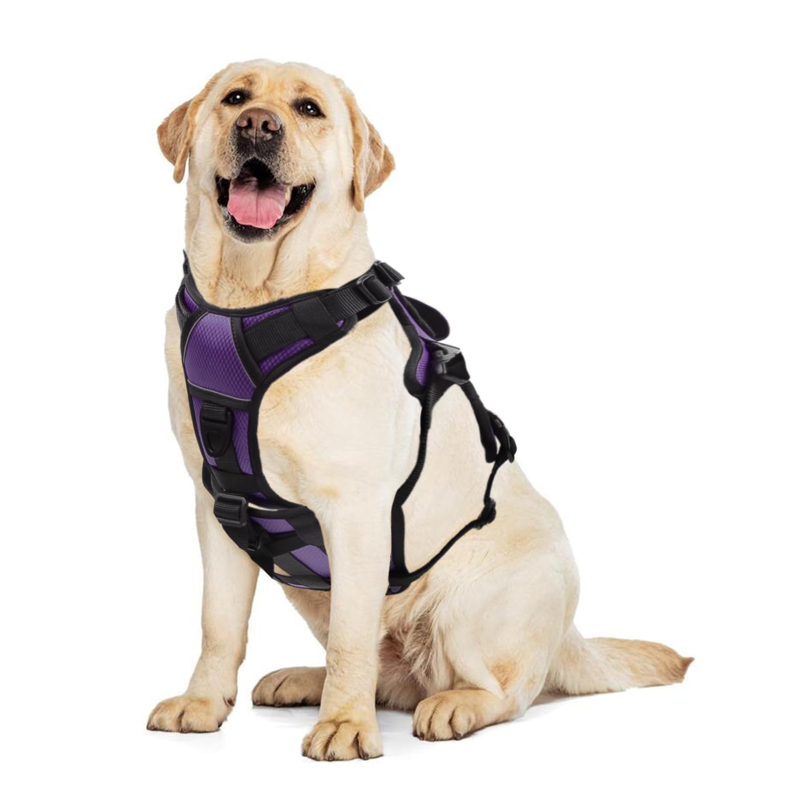 AUROTH Escape Proof Dog Harness
