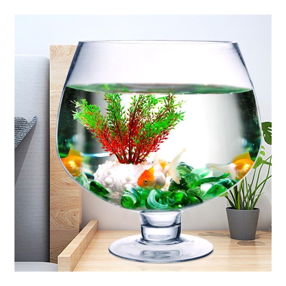 Aquarium Kleines Aquarium aus dickwandigem, transparentem Glas – kreatives Design for Wohnzimmer und Schreibtisch(10cm)
