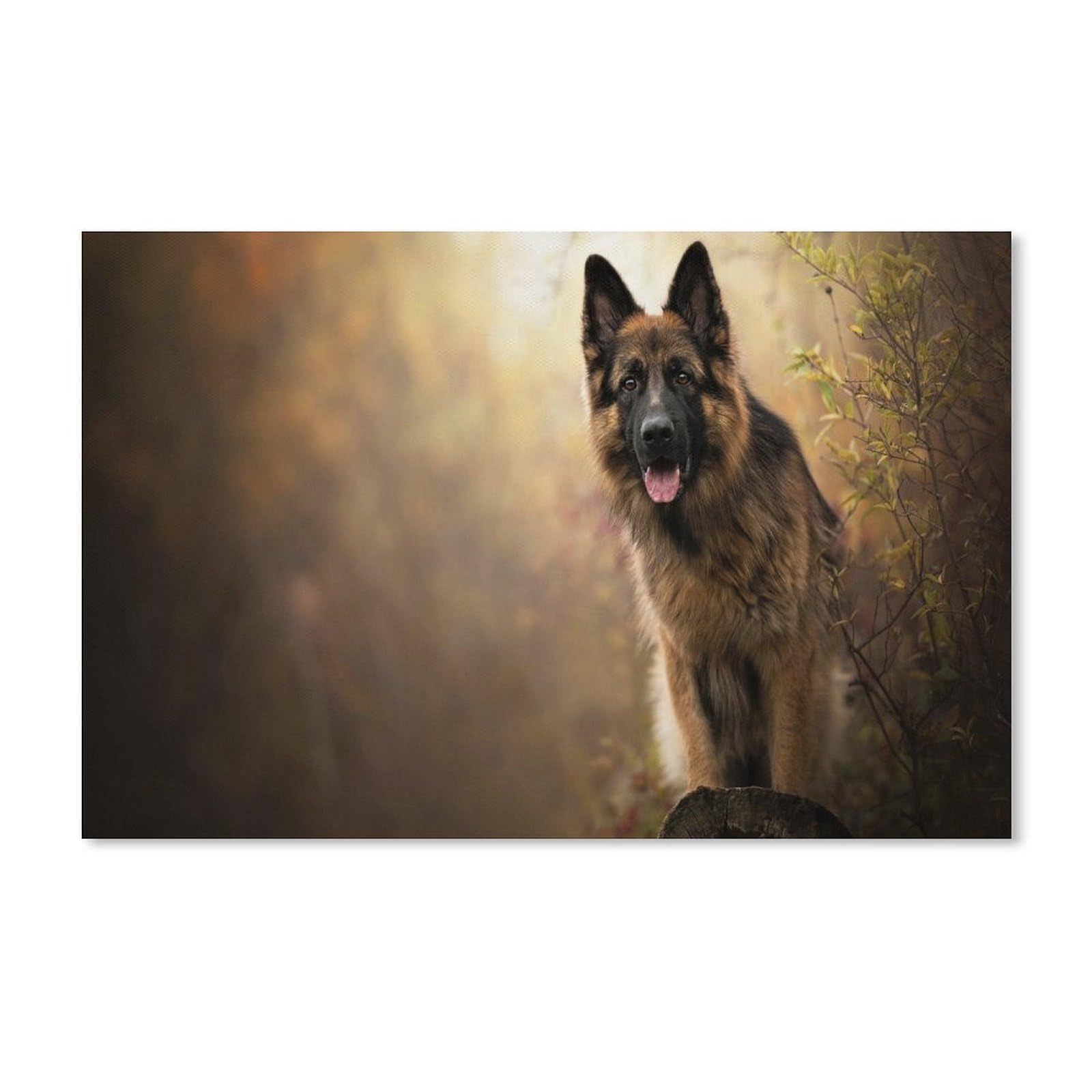 Jigsaw Puzzle 1000 Pieces,German shepherd,Large Family Puzzle Game Artwork for Adults Teens 38x52CM 38x26CM — image 1