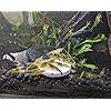 Product Photo 6