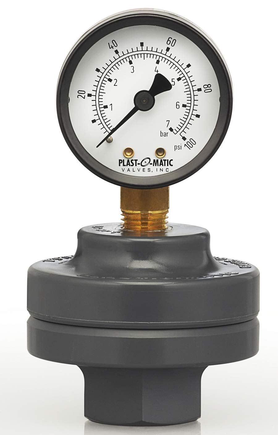 GGTS100E-PV PVC Gauge Guard, FNPT x FNPT Connection Type, 1/2" Gauge Port