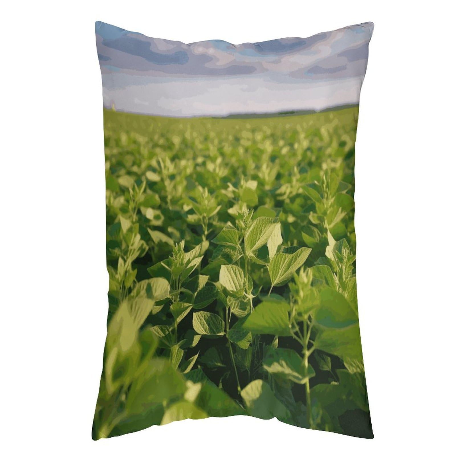 LDGSUPH Soybean Field Pillow Cases Soft Pillowcase with Invisible Zipper Wrinkle Resistant Pillow Covers Breathable Removable Pillow Protector for Bed Sofa Car 20"x30"