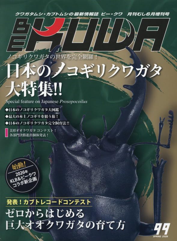 オオクワガタ特集号 No.185 貴重！『月刊むし』1986年7月号 昆虫-安い