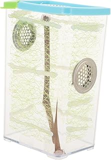 1set Clear Feeding Box for Reptiles Transparent Breeding Container for and to Use Professional Grade Educational Reptile Tank for Frogs Lizards and More