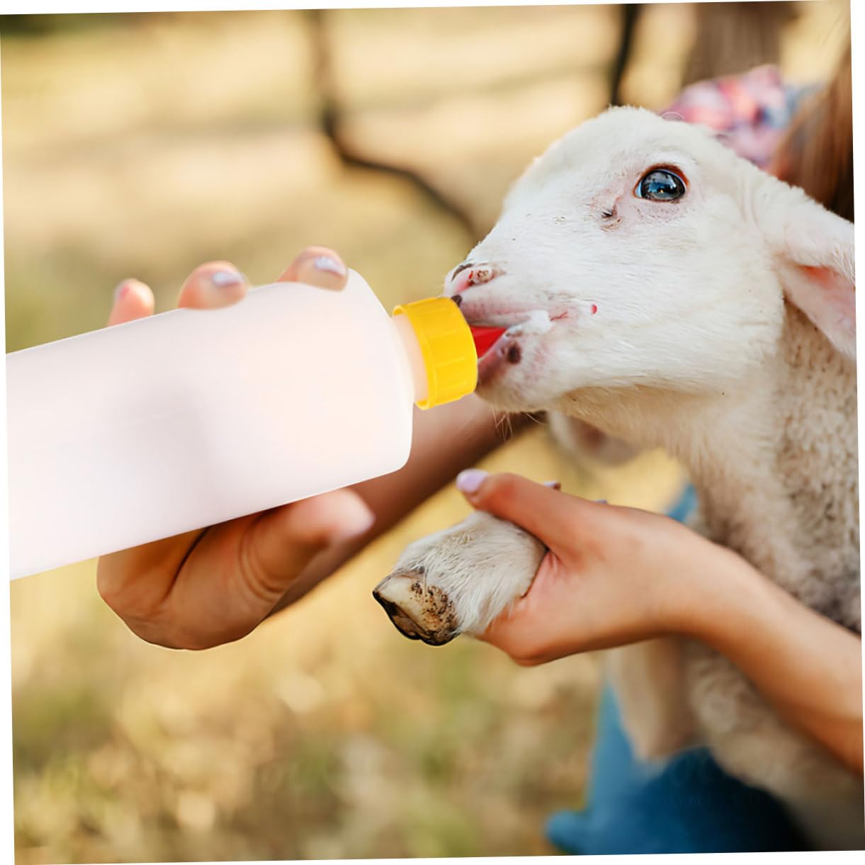 GALPADA 4 Set biberon assistenza infermieristica Neonato bottiglie neonati latte forniture per l'alimentazione degli agnelli biberon per l'alimentazione degli animali plastica