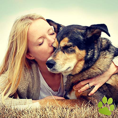 BELISY Läuse & Flöhe Bachblüten Kügelchen für Hunde & Katzen - Bei Läusen & Flöhen - Spezial Bachblütenmischung - alkoholfrei - 10 g