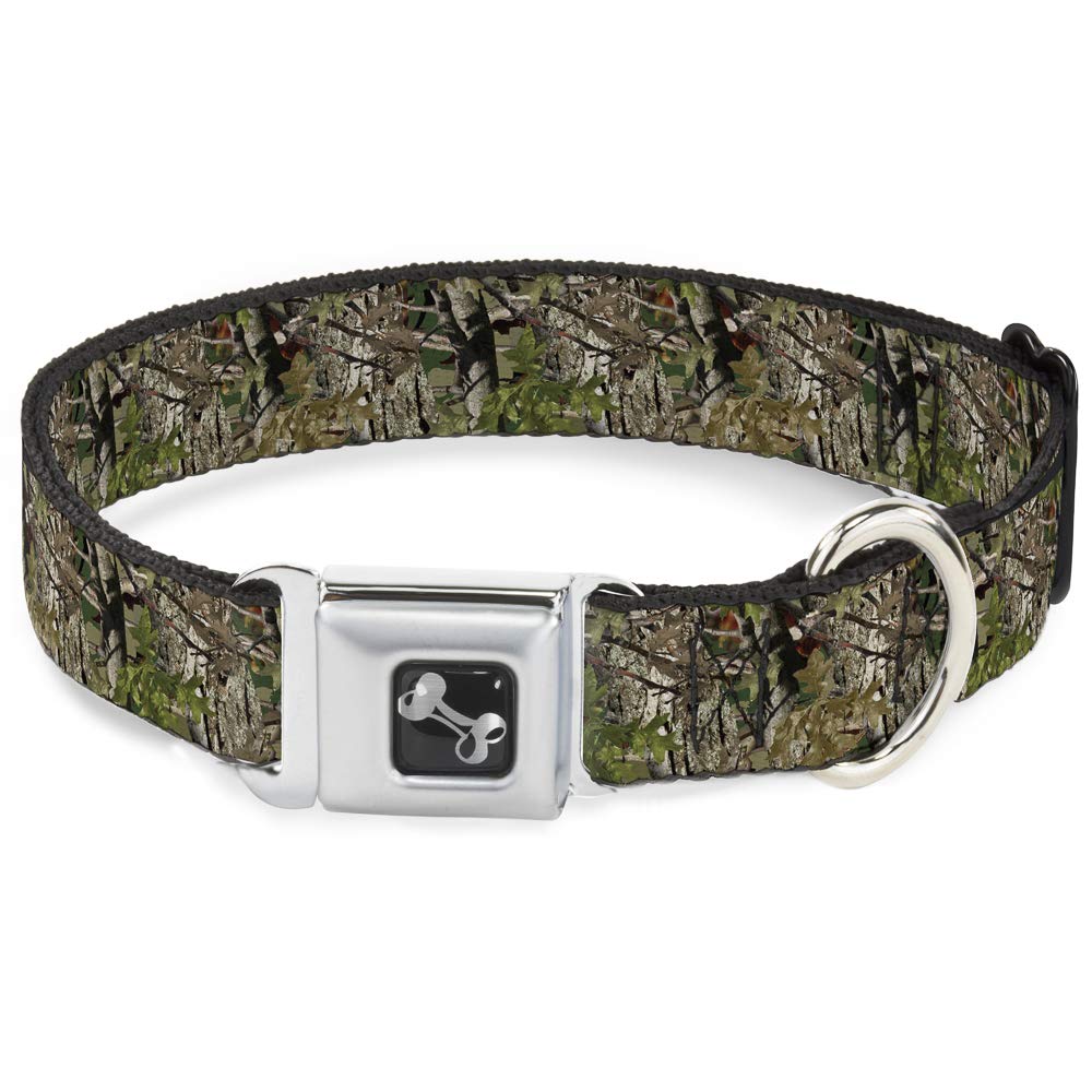 Collier pour chien d'exception Buckle Down, boucle métallique et imprimé camouflage