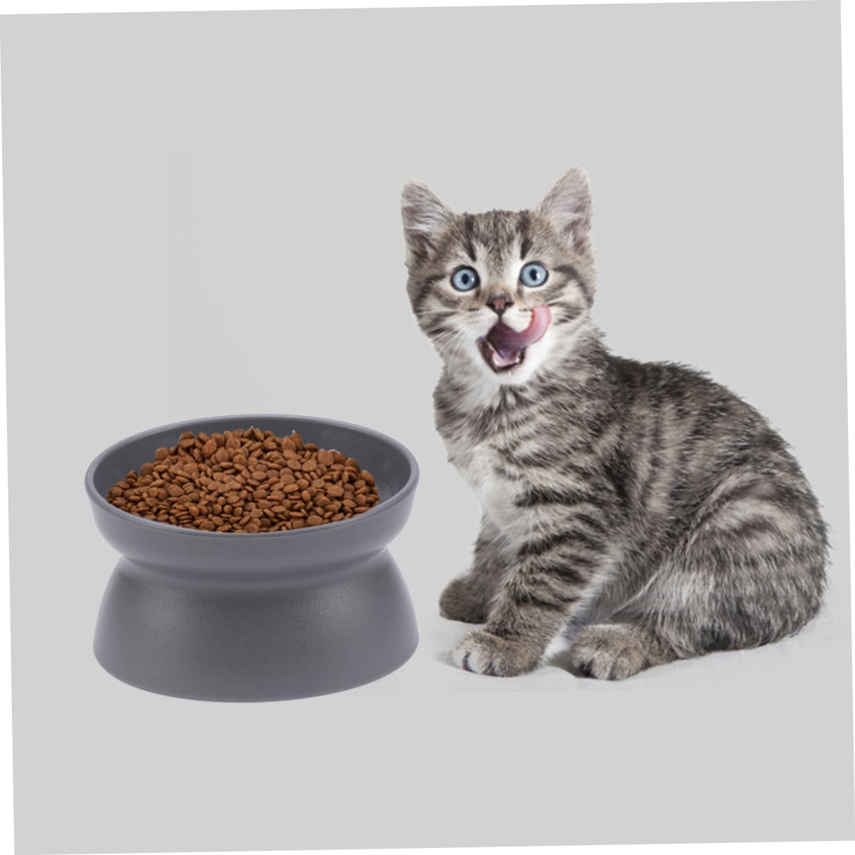NOLITOY 3pcs Oblique Mouth Cat Bowl Dark Gray Feeder for Cats Non- Base Holds Water Food for Controlled Eating and Pet Supplies