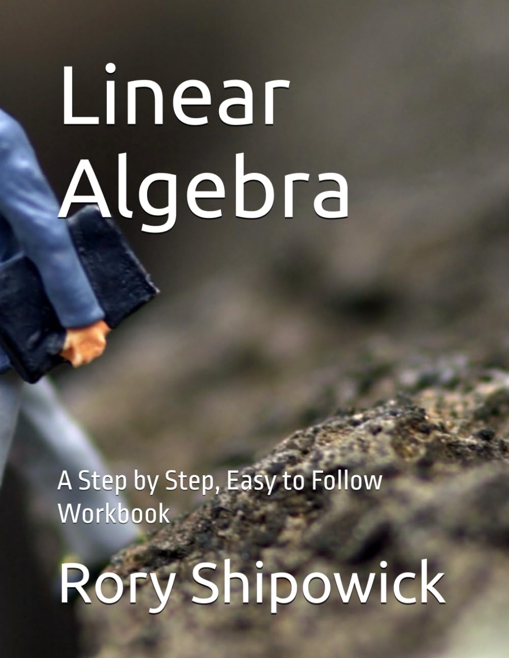 Linear Algebra: A Step by Step, Easy to Follow Workbook