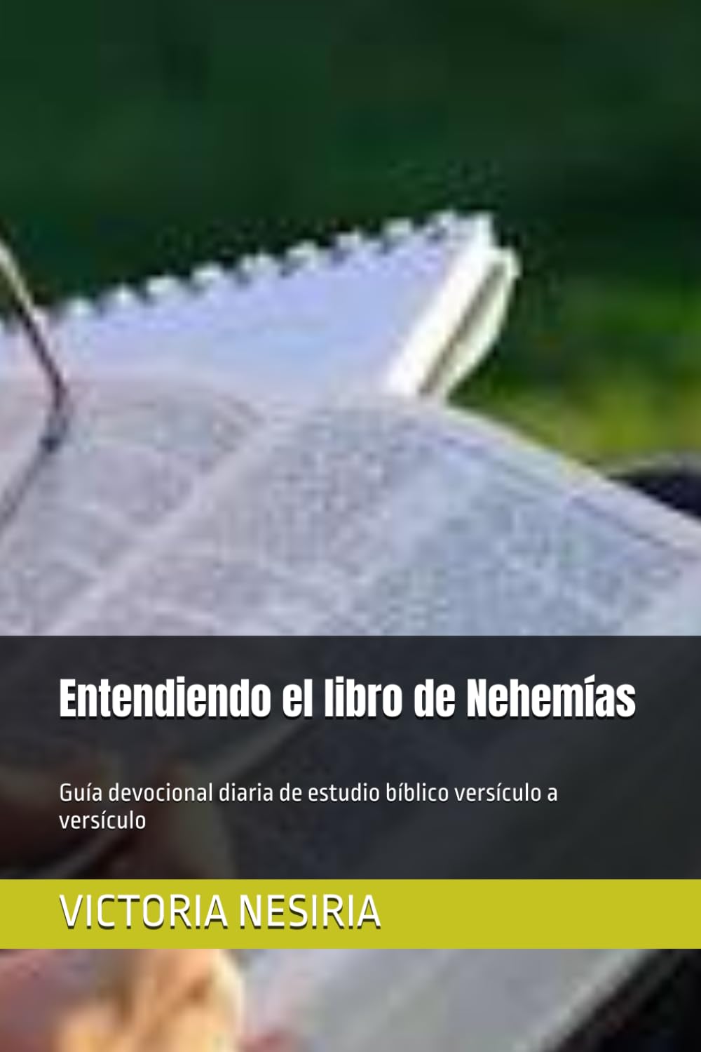Entendiendo el libro de Nehemías: Guía devocional diaria de estudio bíblico versículo a versículo (Guía de Estudio Bíblico Devocional Diario: Desde