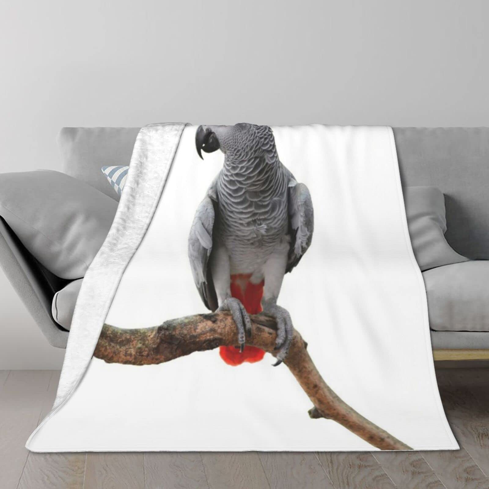 YINGDBlanket,Parrot Bird Psittacus Erithacus Standing On A Branch Tropical Nature Wildlife,Throw Blanket Lightweight Soft War150CM X 125CM
