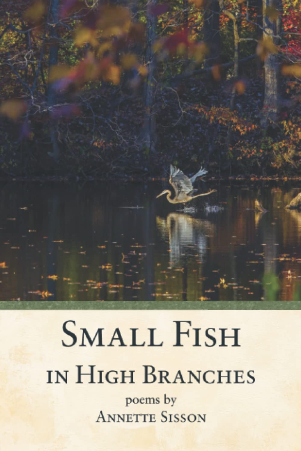 Small Fish in High Branches