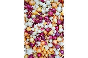 Mix, Red, Yellow, and White Onion Sets for Fall Planting