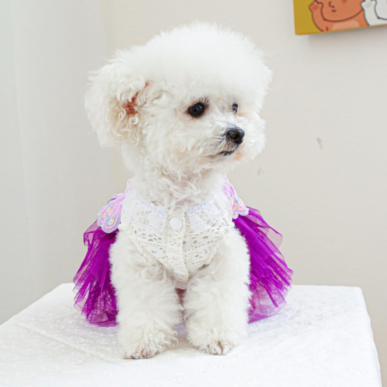 Vestidos Para Perros Amazon QBLEEV Vestido De Tutú Para Perro