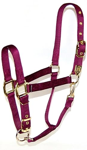 Miniatura 1 de Hamilton Halter de nailon de 1 pulgada con barbilla ajustable, color vino, tamaño promedio
