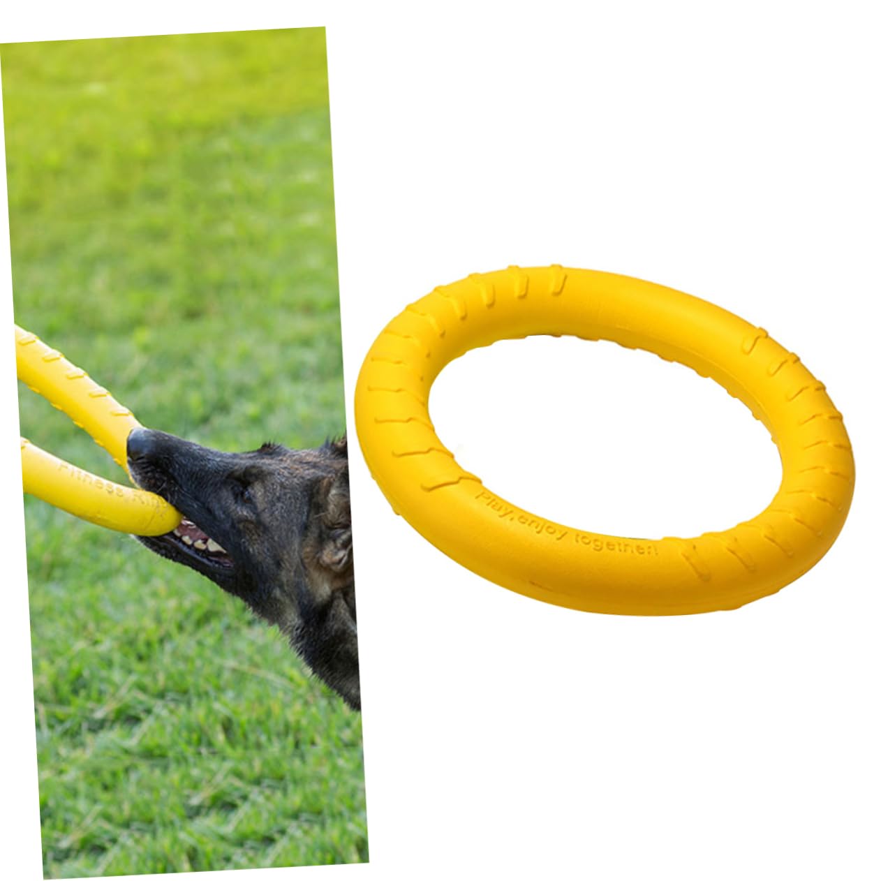 Beavorty 2 Stücke Die Gesundheit Ihres Haustieres Hund Kauen Spielzeug Sicher Für Hunde Orange Pet Zahnen Spielzeug