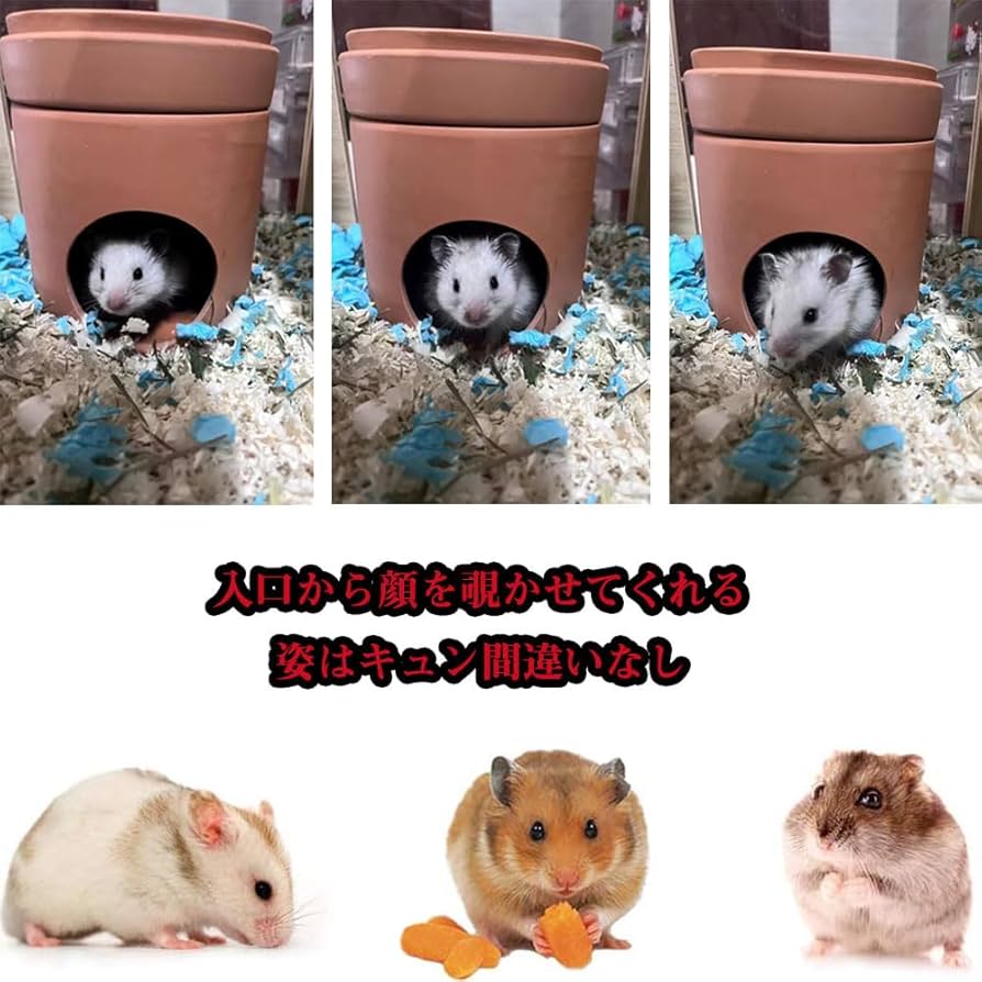 てん ハムスター　巣箱 楽天市場】ハムスター 巣箱（小動物用品｜ペット・ペットグッズ