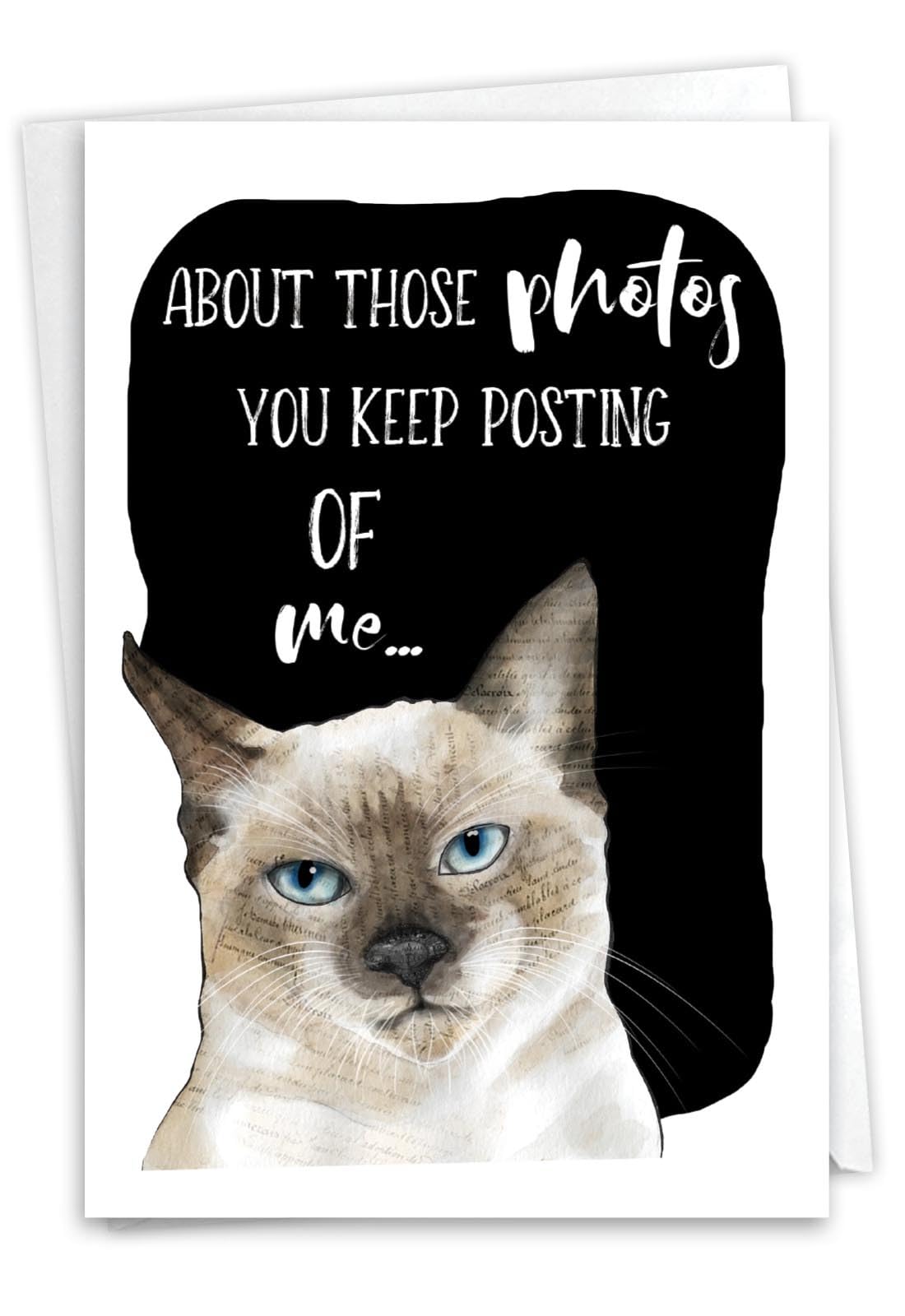 NobleWorks, Funny Birthday Greeting Card with 5 x 7 Inch Envelope (1 Card) Bday Cat Antics - Photos C3638GBDG — image 1