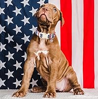 Vista 55 de DOGWONG Collar de perro de San Valentín, collar de perro con estampado de corazones para perros grandes, lindos collares de primavera, hembra