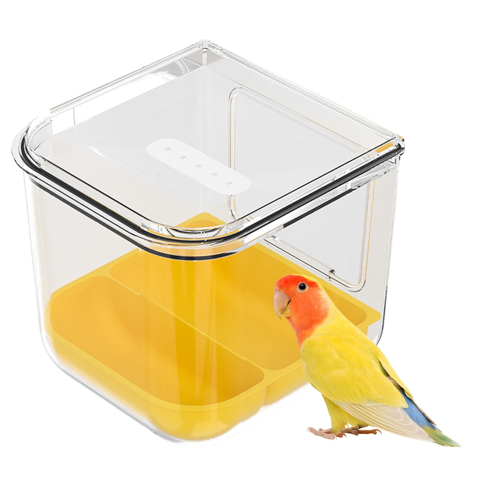 Alimentador transparente para conuros y periquitos ideal para comedores limpios