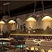 Farmhouse Chandeliers, Antlers 2 Lights Dining Room Lighting Fixtures Hanging, Kitchen Island Pendant Lights Contemporary Modern Ceiling Light with Glass Shade Adjustable Rods