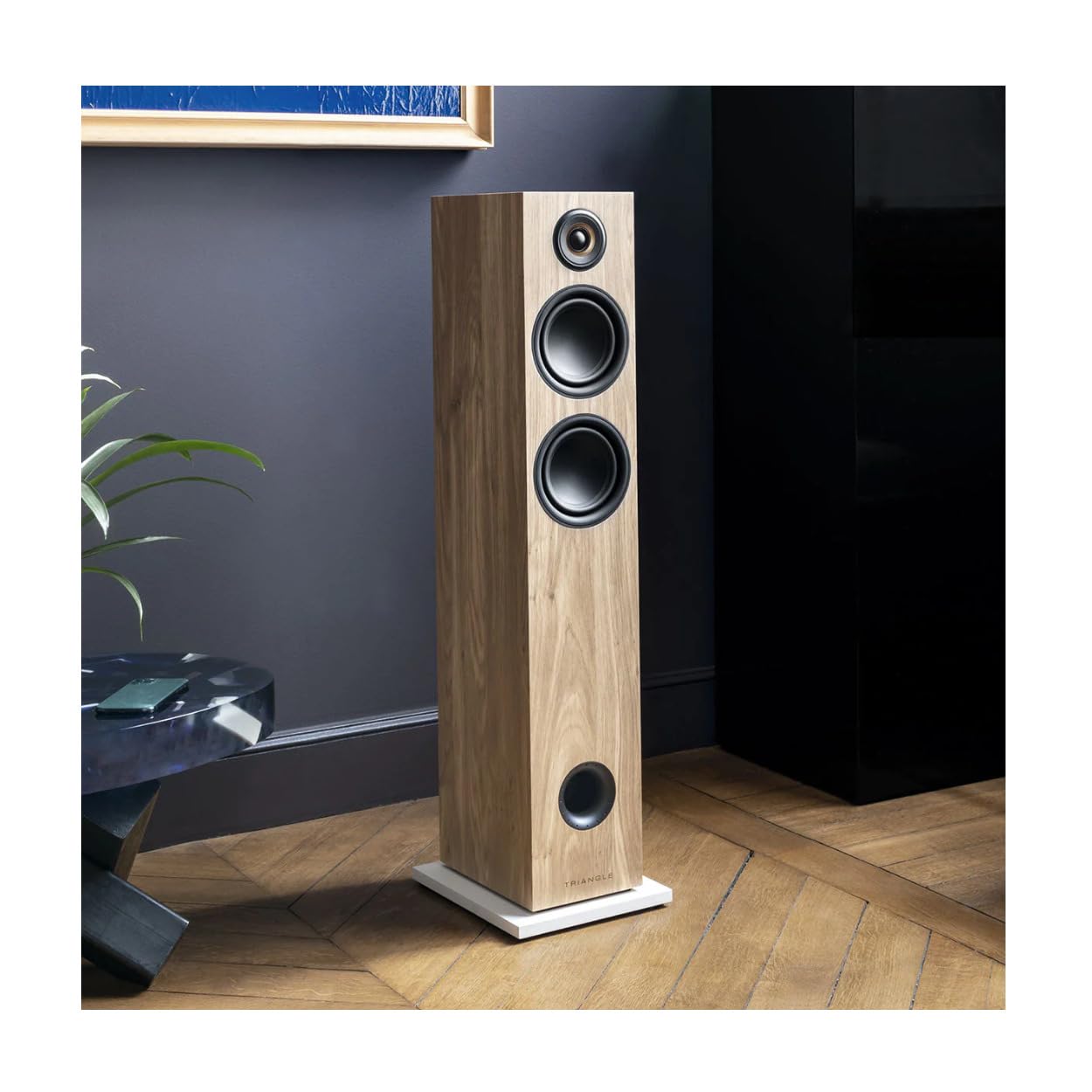 Triangle - Enceintes Actives LN05A - Enceintes Colonne Bluetooth avec Amplificateur 2 x 80W - Audio HD - Entrées Phono/Platine Optique Sortie Caisson - 165 x 921 x 263 mm – Chêne Clair (Paire)