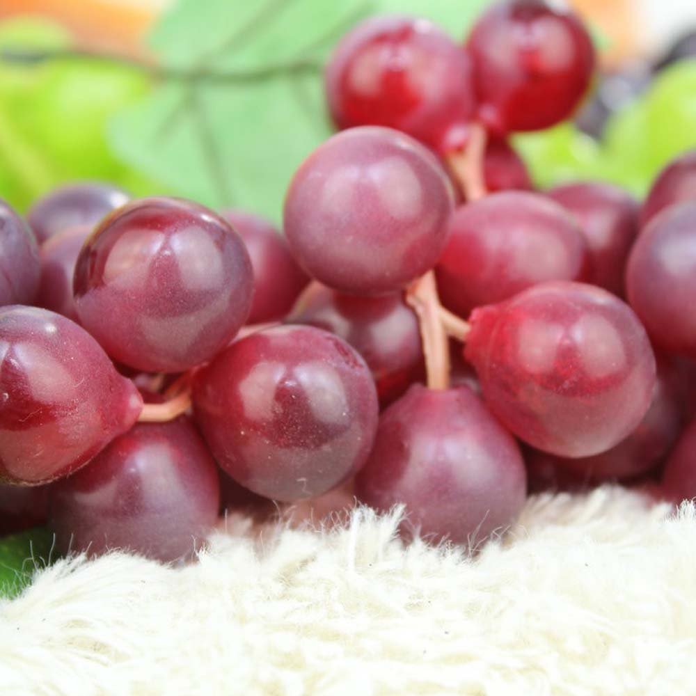 WADY 2 Uvas Decorativas de plástico para Vino, Uvas, Frutos Artificiales, Frutas y Verduras, 2 Unidades de 17 cm (Rojo)