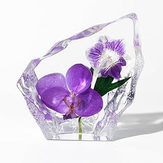 Taxidermy Orchid, Real Flower Specimen in Crystal Clear Resin, Preserved Sample Plant Flower Paperweight for Botany Science Education (Orchild-1PC)