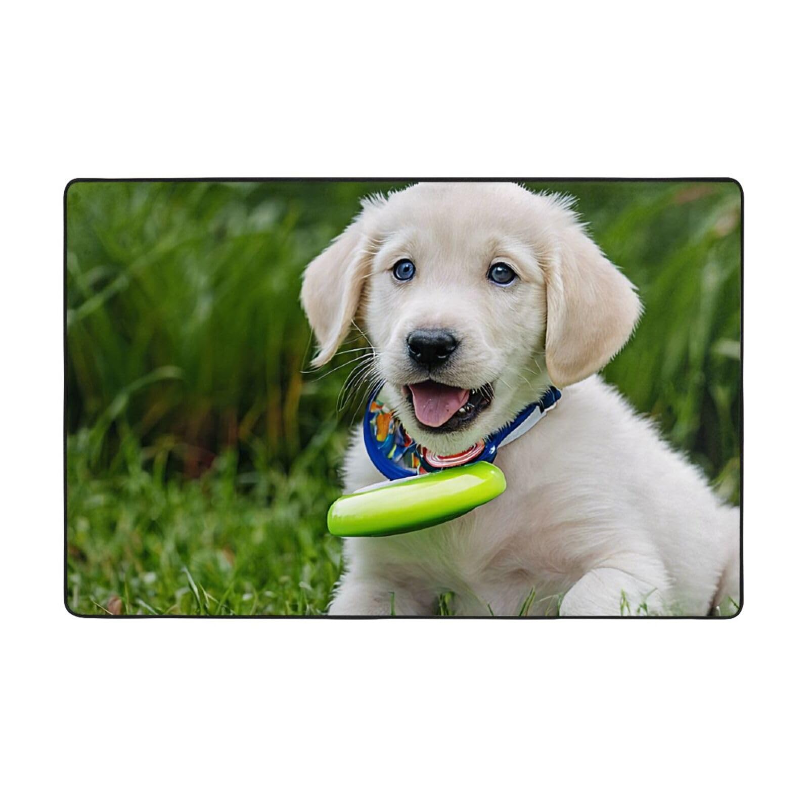 Tapis de salon moderne Bichon Frisé 150x100 cm doux et antidérapant