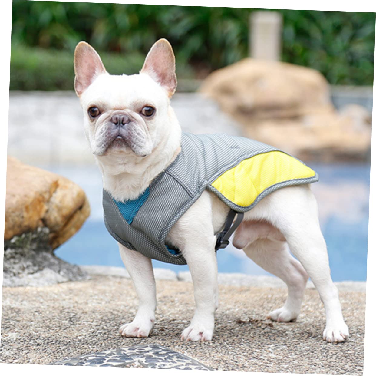 Kisangel Lot De 3 Réfléchissants pour Animaux De Compagnie Gilet Rafraîchissant Et Respirant pour Chiens Idéal pour Les Promenades