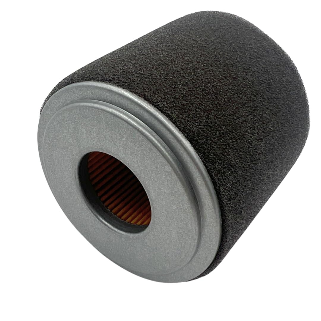 Amazon.com: Genuine 17210-Z0V-781 Air Filter with Genuine Spark