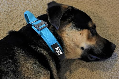 Miniatura 21 de Collar táctico militar personalizado para perro con asa, etiquetas de nombre de mascotas personalizadas para perros medianos y grandes para Negro