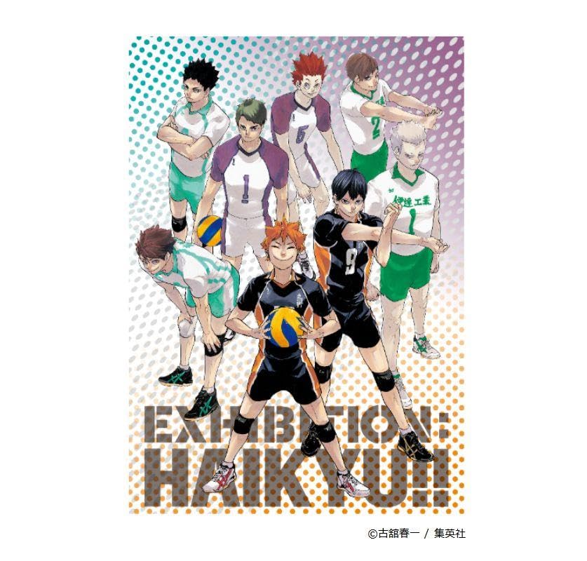 Amazon.co.jp: ハイキュー ハイキュー展 ビッグタオル キービジュアル